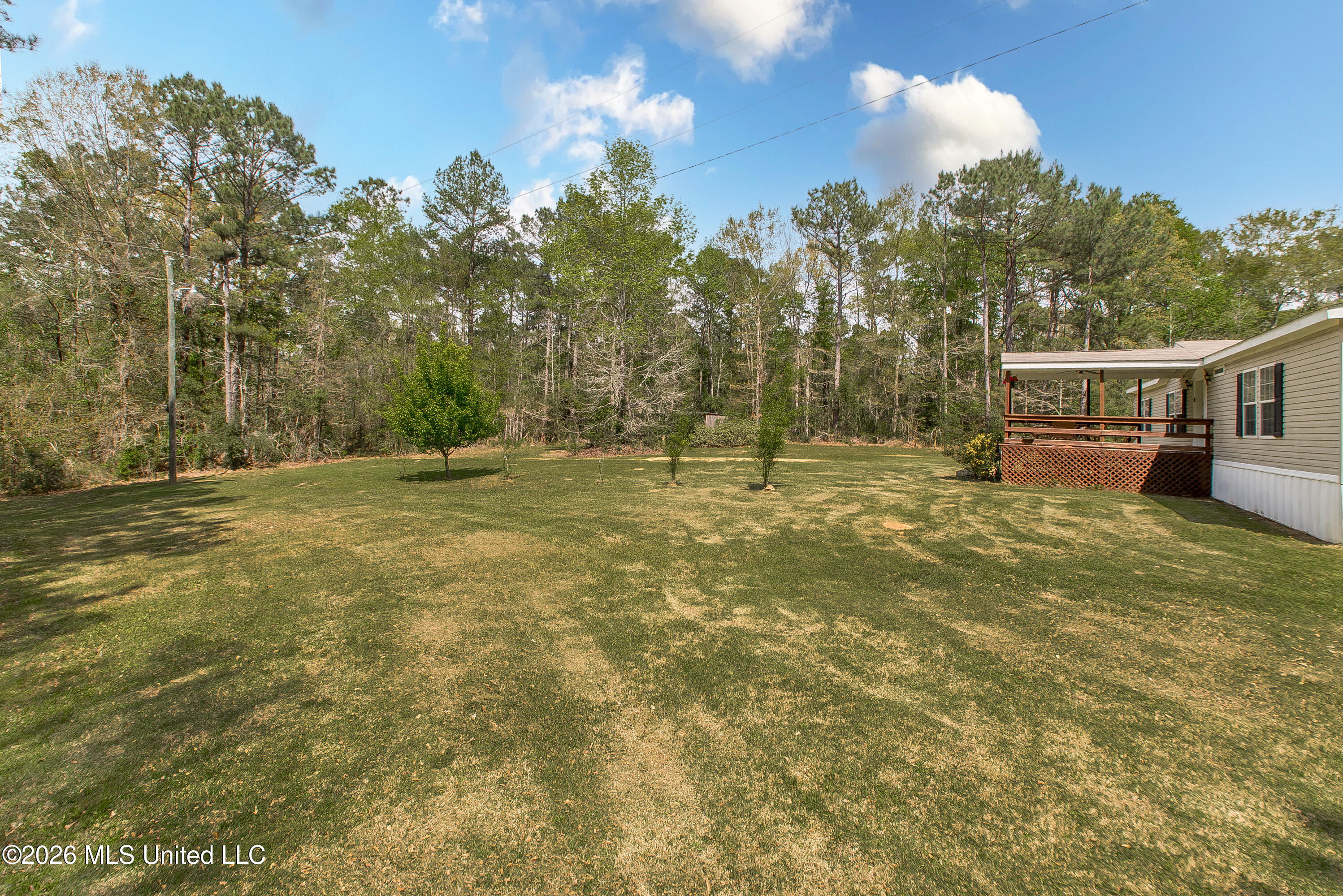 8074 Magnolia Holmesville Road McComb, MS 39648 - Photo 32 of 45 DSC_9113 copy
