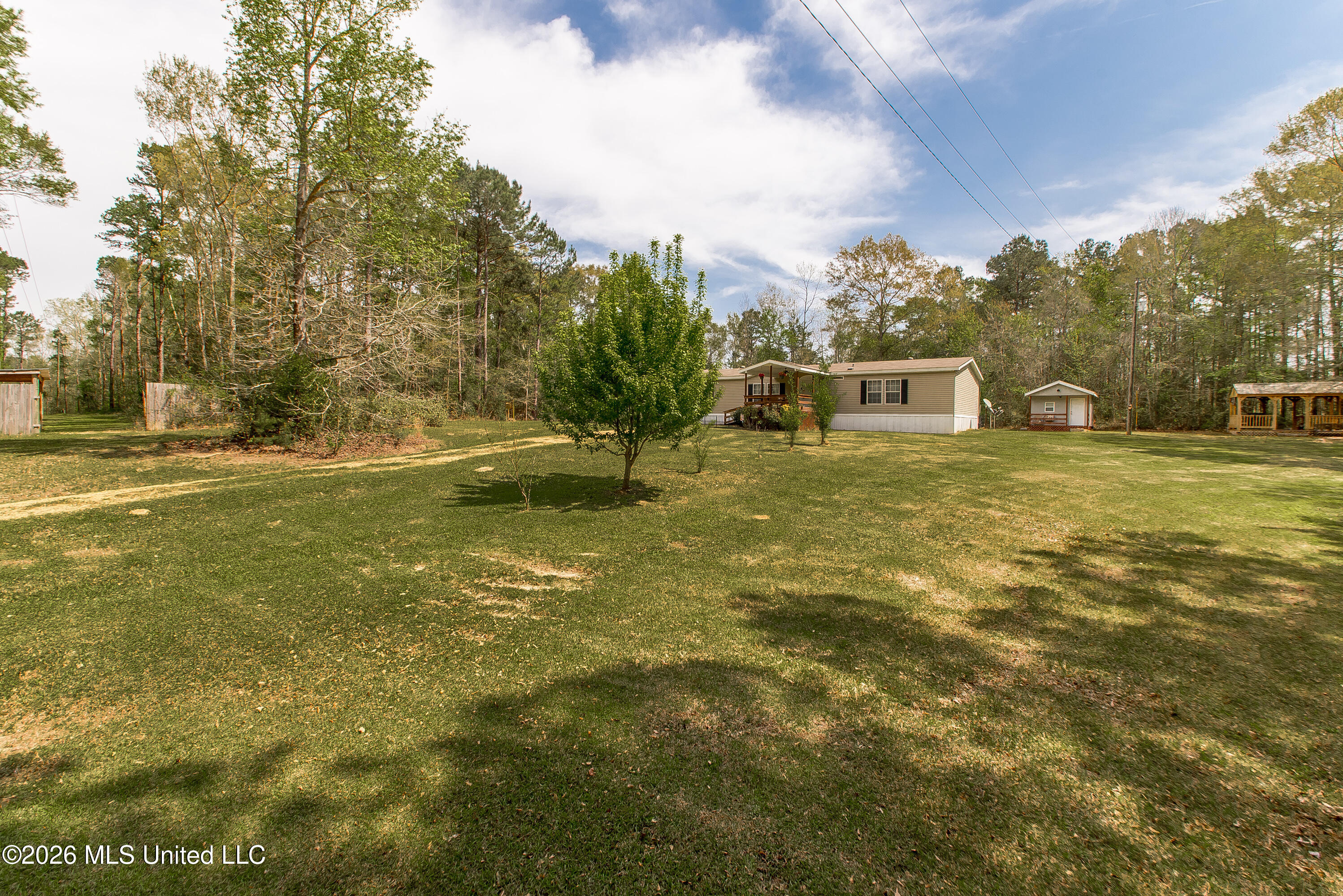 8074 Magnolia Holmesville Road McComb, MS 39648 - Photo 34 of 45 DSC_9115 copy