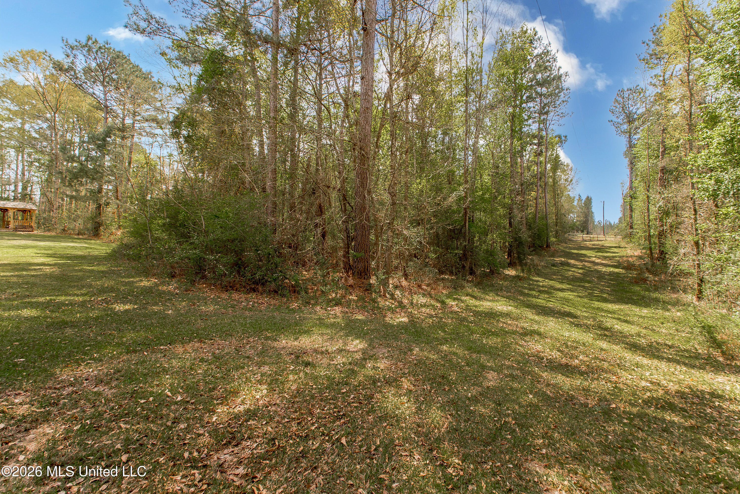 8074 Magnolia Holmesville Road McComb, MS 39648 - Photo 45 of 45 DSC_9114 copy