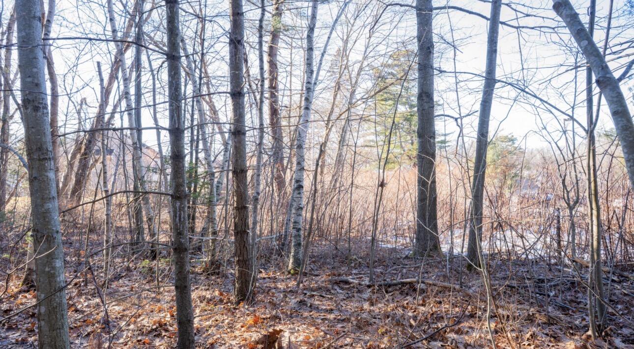 10 Willowdale Road Scarborough, ME 04074 - Photo 11 of 12 IMG_1740