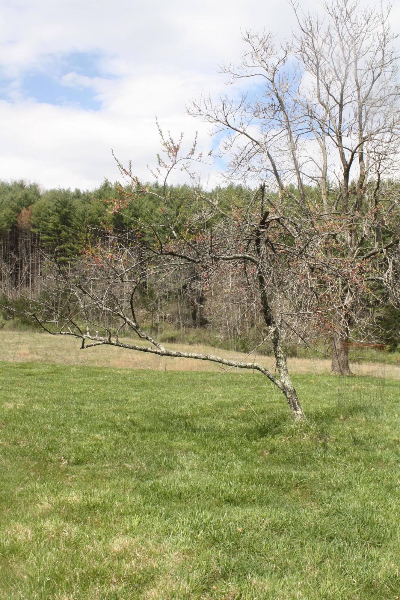722 East Woodrumtown Road Hinton, WV 25951 - Photo 76 of 145 Gallery Image 76