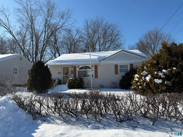 a front view of house with a garden