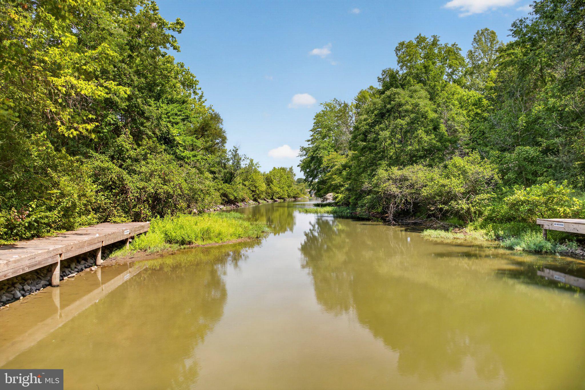 972 Days Bridge Road Mineral, VA 23117 - Photo 16 of 109 Serene waters framed by lush greenery.