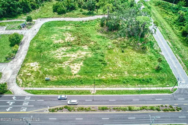 a view of a garden with a bench