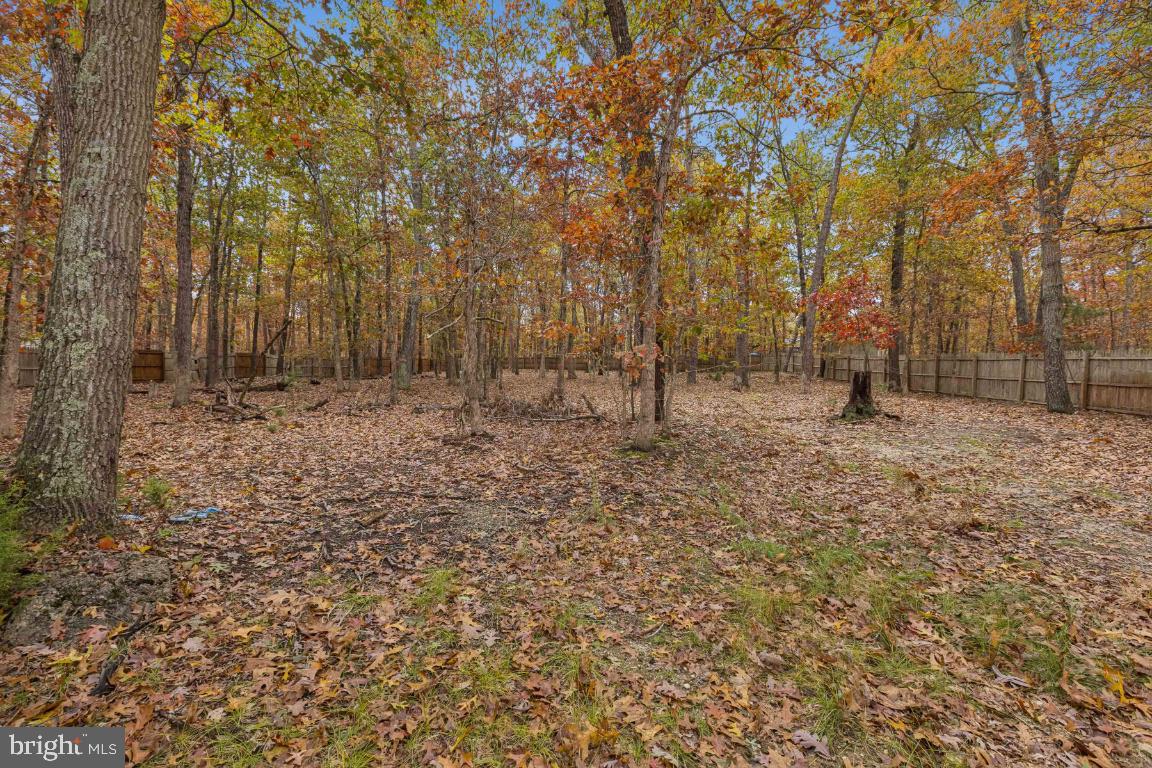 207 Sooy Place Road Tabernacle, NJ 08088 - Photo 23 of 25 a backyard of a house with lots of green space