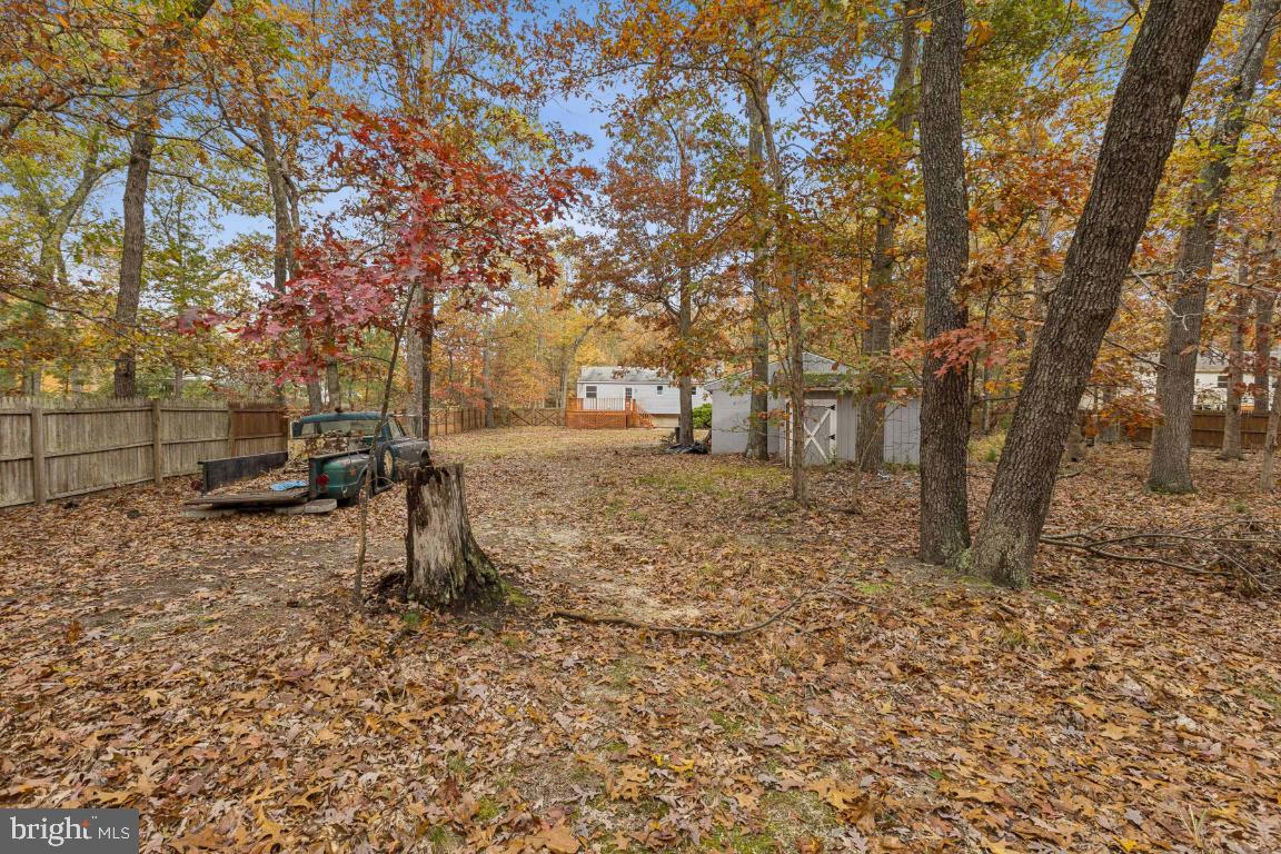 207 Sooy Place Road Tabernacle, NJ 08088 - Photo 24 of 25 a view of a yard with a tree