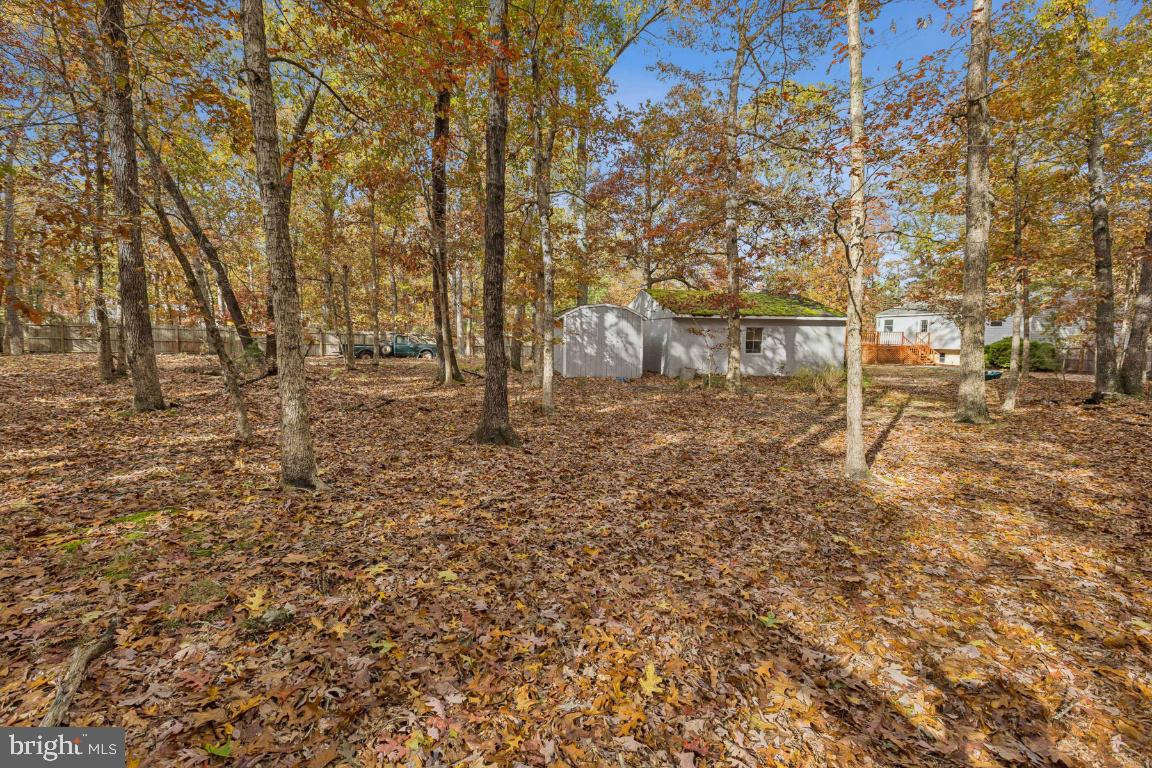 207 Sooy Place Road Tabernacle, NJ 08088 - Photo 25 of 25 a view of a yard with large trees