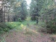 0 Bellinger Road Springdale, WA 99173 - Photo 1 of 15