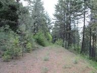 0 Bellinger Road Springdale, WA 99173 - Photo 12 of 15