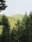 0 Bellinger Road Springdale, WA 99173 - Photo 14 of 15