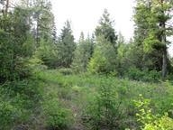 0 Bellinger Road Springdale, WA 99173 - Photo 4 of 15