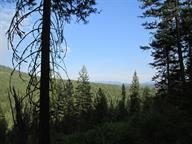 0 Bellinger Road Springdale, WA 99173 - Photo 6 of 15