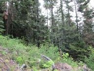 0 Bellinger Road Springdale, WA 99173 - Photo 7 of 15