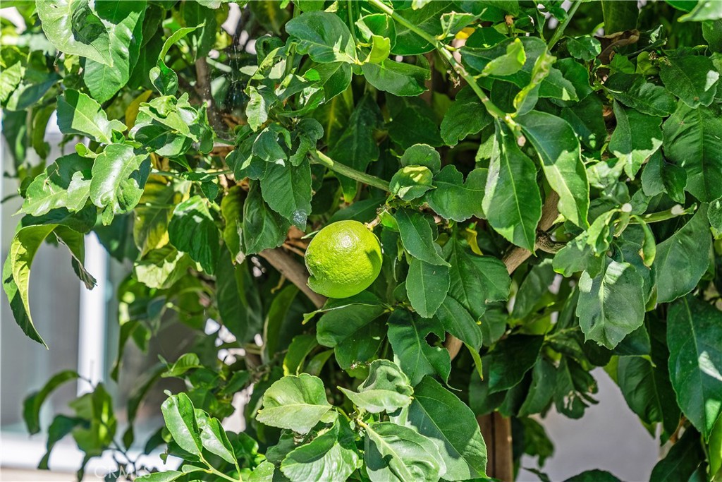 30 Entrada West Irvine, CA 92620 - Photo 39 of 41