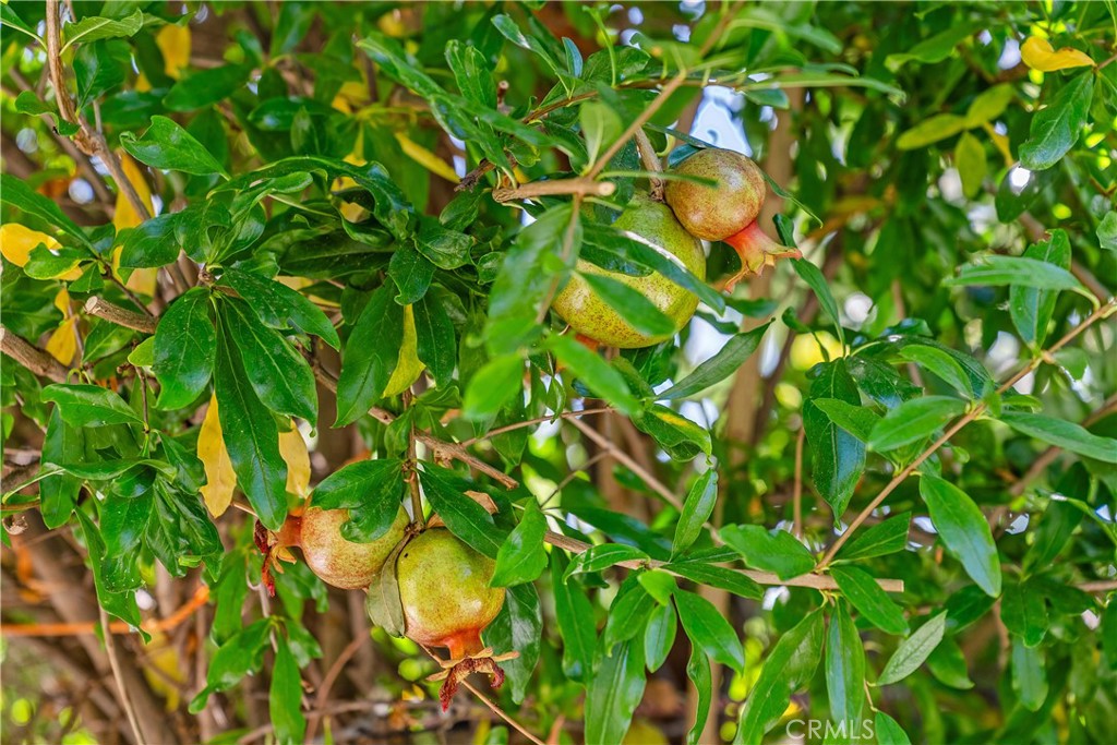 30 Entrada West Irvine, CA 92620 - Photo 40 of 41