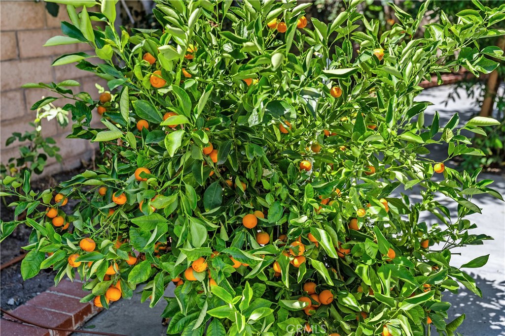 30 Entrada West Irvine, CA 92620 - Photo 41 of 41