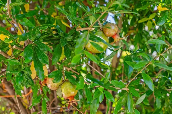 $1,790,000 | 30 Entrada West, Irvine, CA 92620