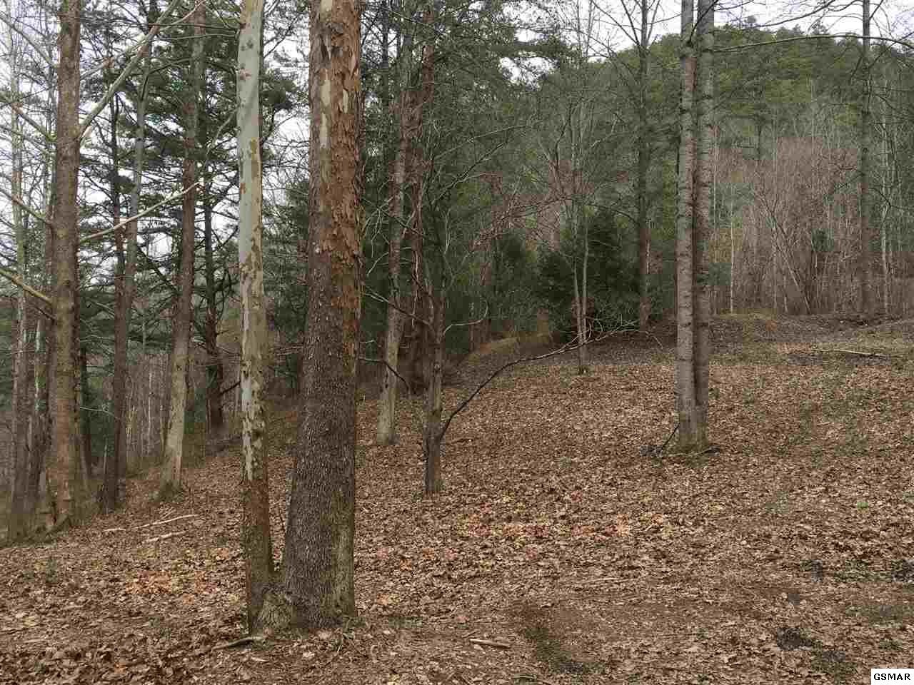 1 Wears Valley Road Sevierville, TN 37862 - Photo 2 of 6
