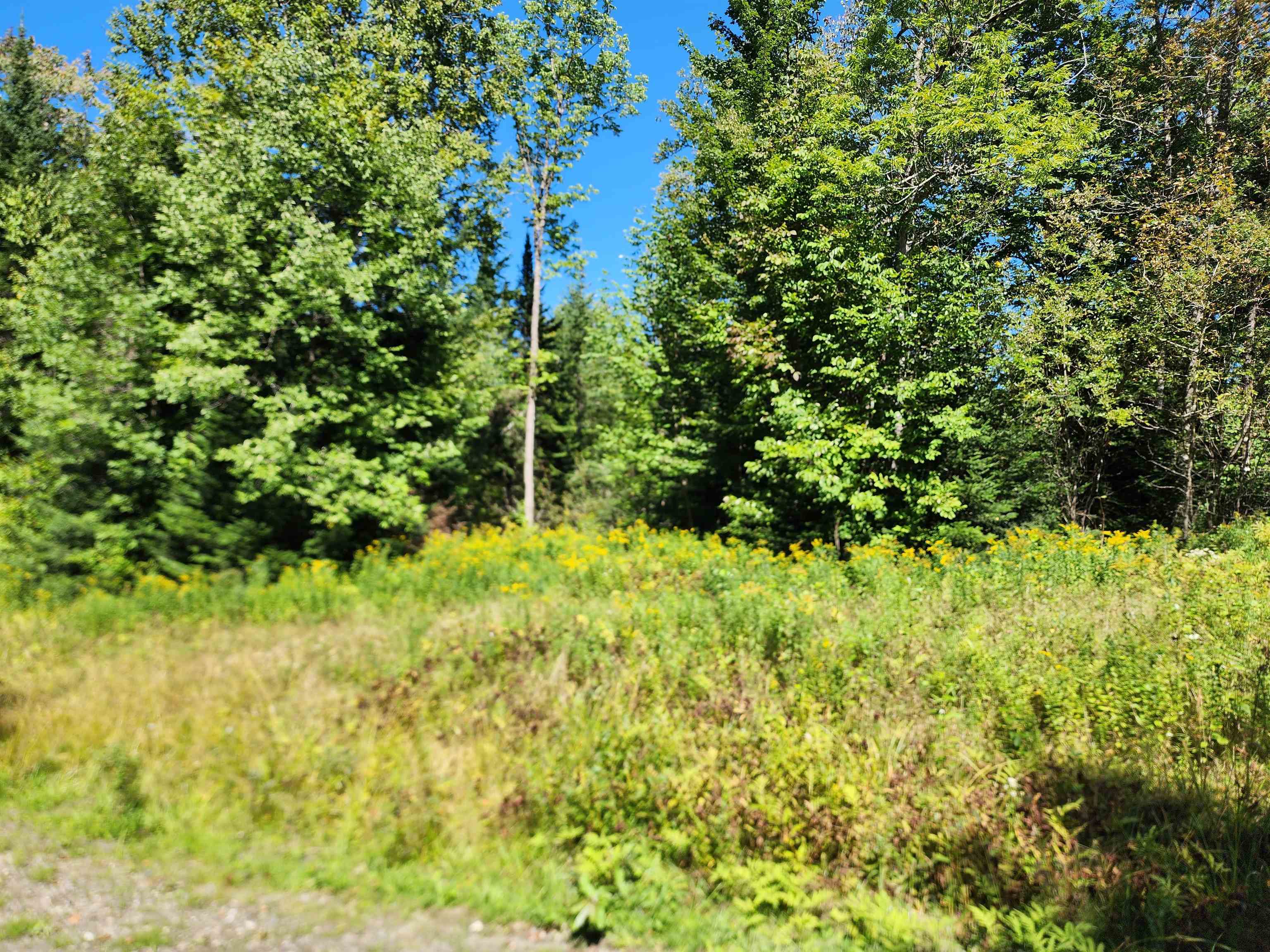 114 Canaan Vt 05903 Canaan, VT 05903 - Photo 41 of 45