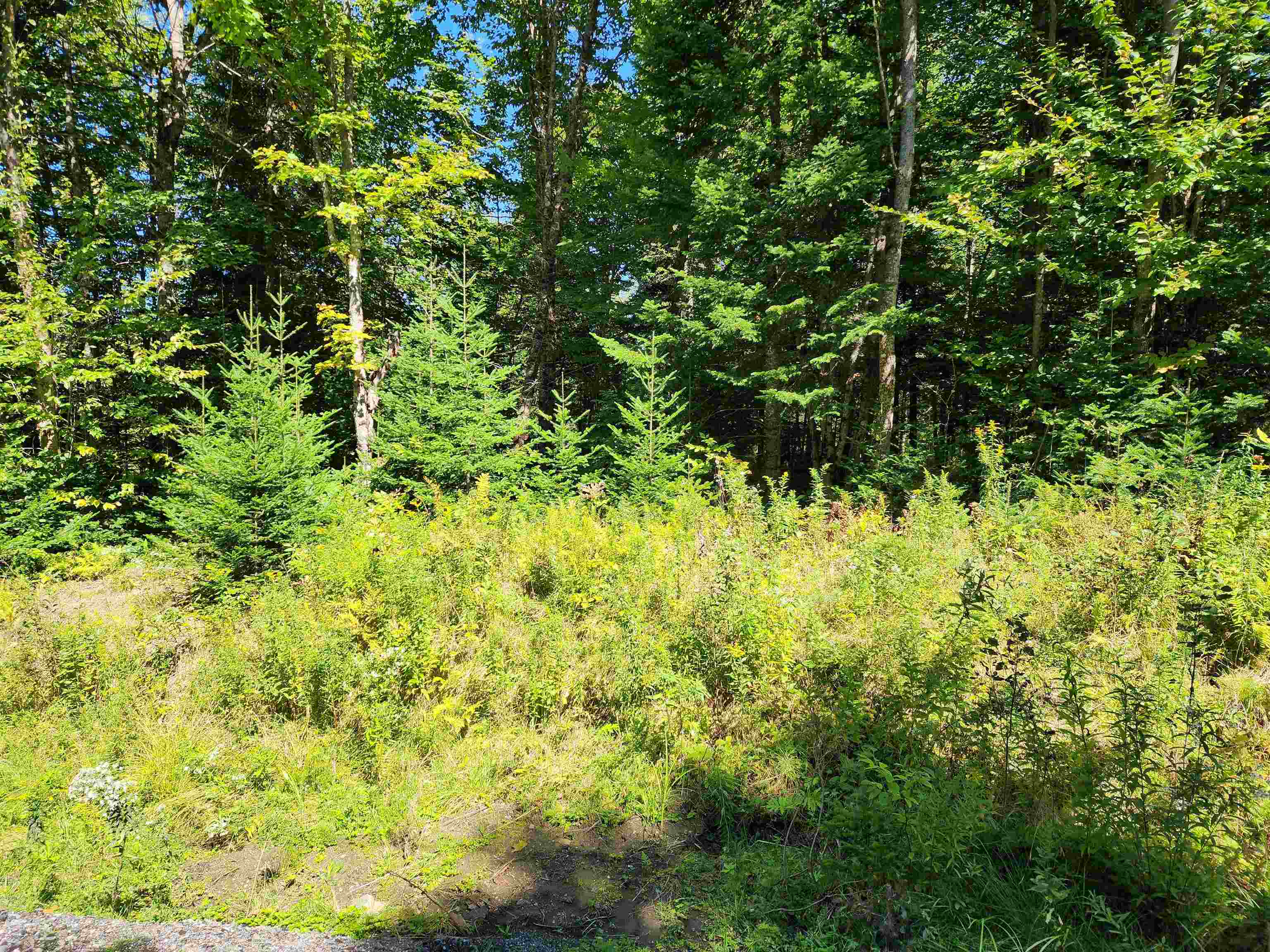 114 Canaan Vt 05903 Canaan, VT 05903 - Photo 42 of 45