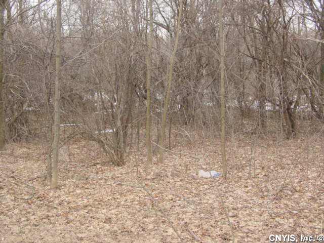 Lot#11 Limburg Forks Road Carthage, NY 13619 - Photo 1 of 1 Land