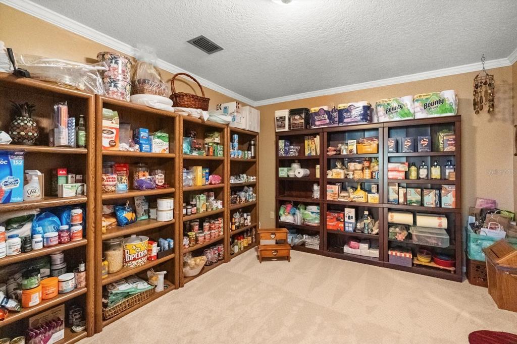 4345 Corley Island Road Leesburg, FL 34748 - Photo 27 of 77