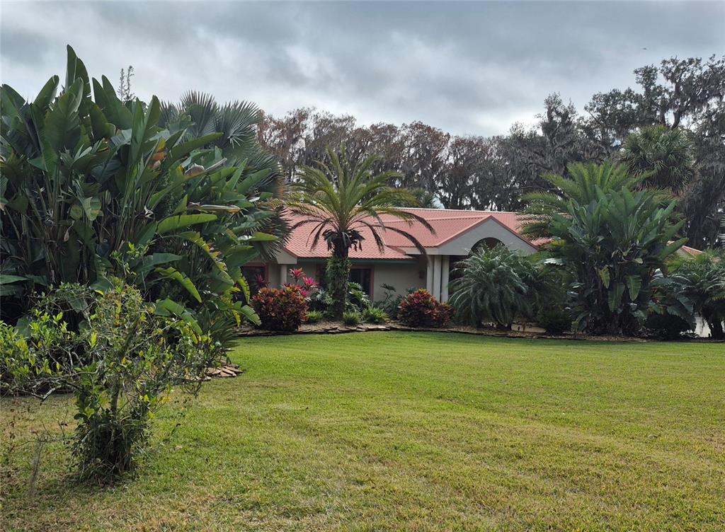 4345 Corley Island Road Leesburg, FL 34748 - Photo 3 of 77