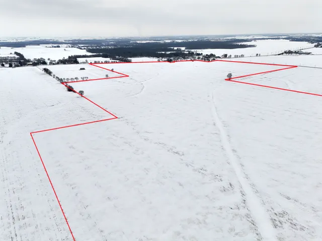 a view of a dry back yard