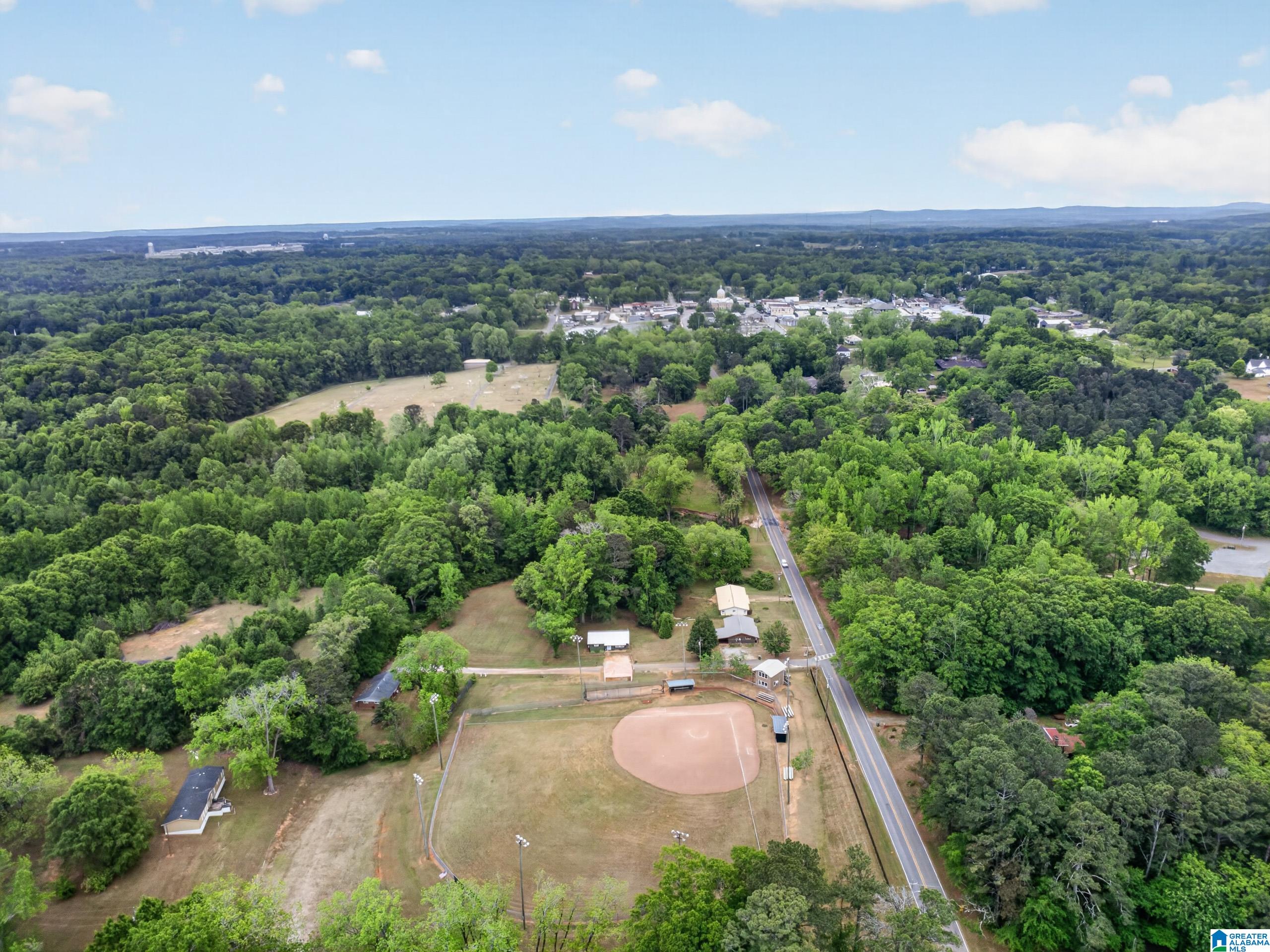 23 Williamson Road Ashland, AL 36251 - Photo 13 of 38