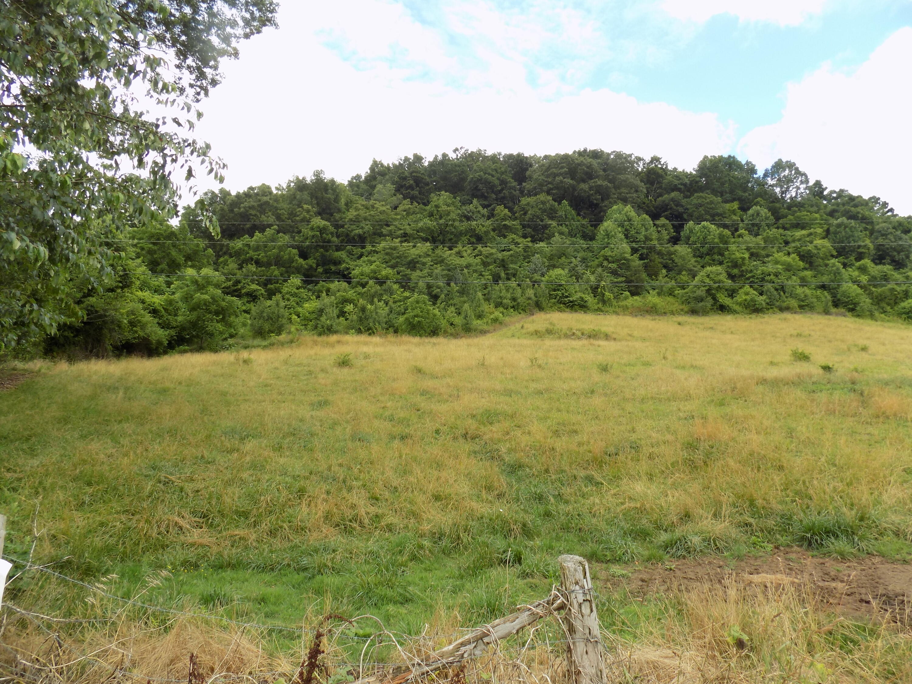 Tbd Cave Springs Road Rogersville, TN 37857 - Photo 1 of 18 DSCN1357