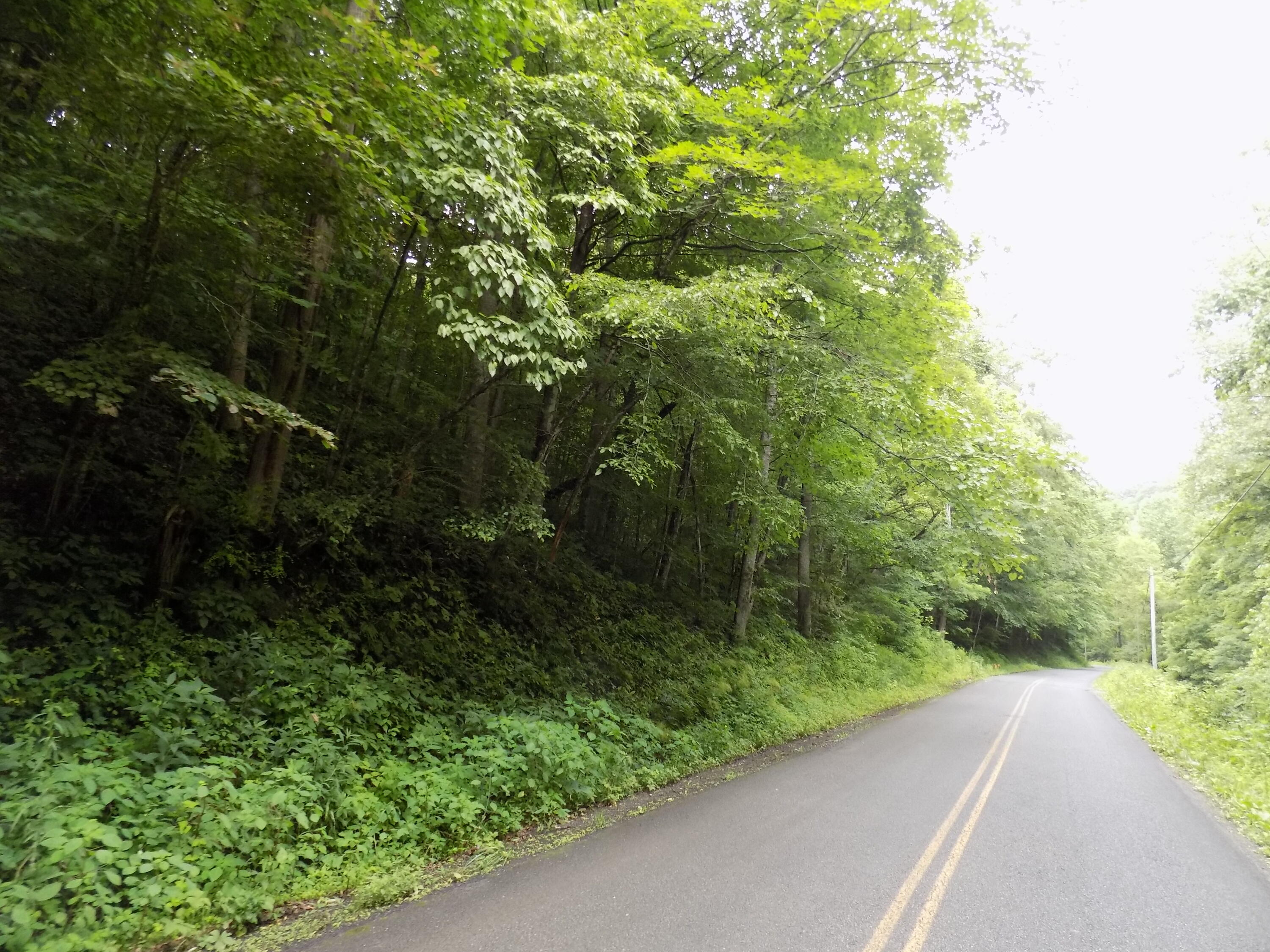 Tbd Cave Springs Road Rogersville, TN 37857 - Photo 15 of 18 DSCN1370