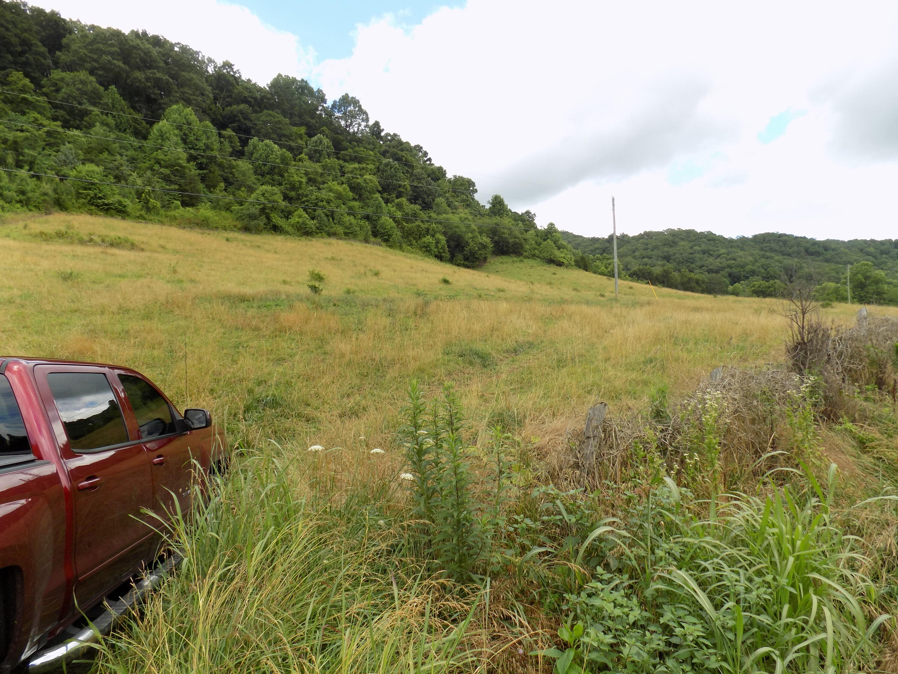 Tbd Cave Springs Road Rogersville, TN 37857 - Photo 2 of 18 DSCN1356