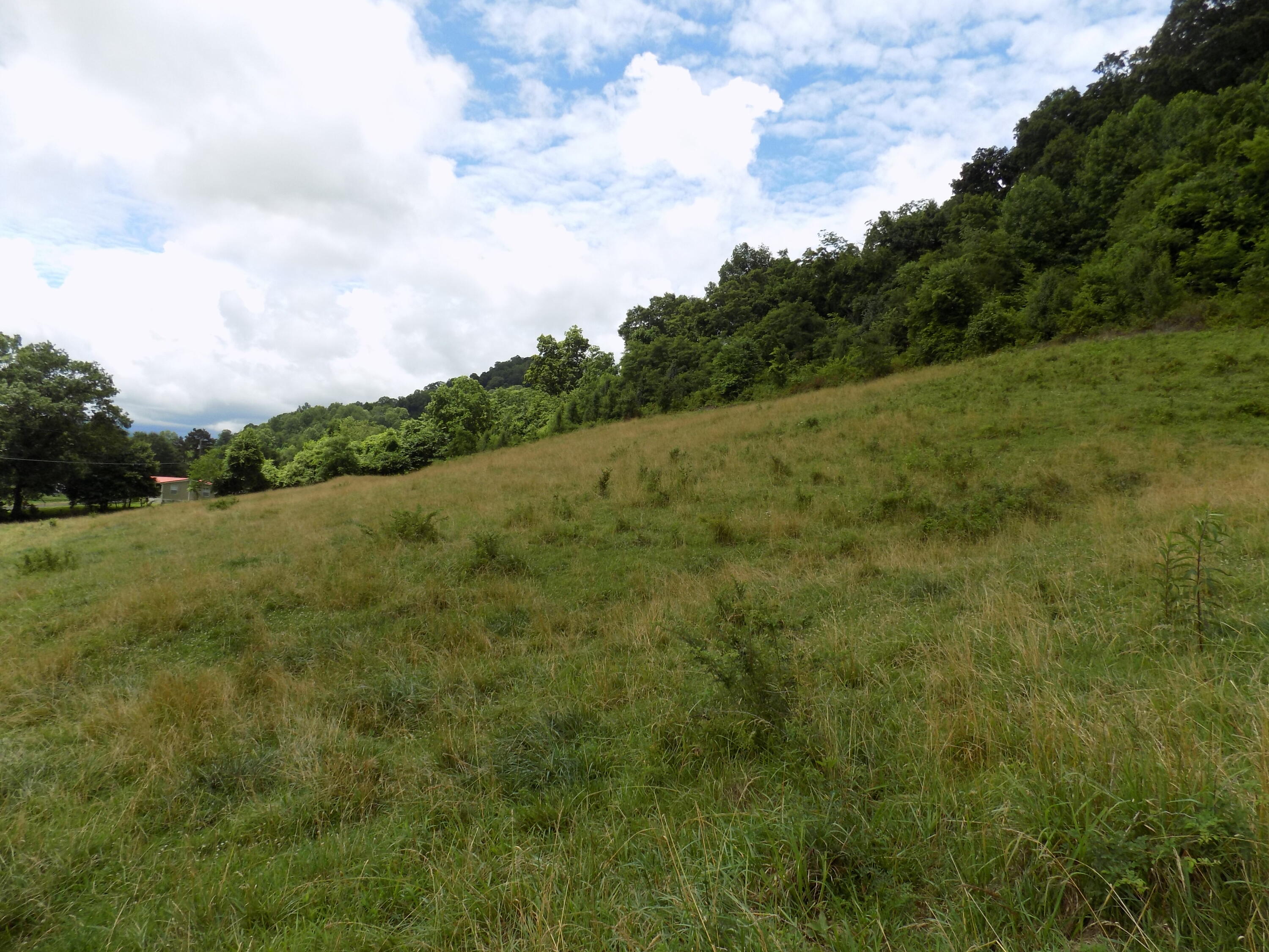 Tbd Cave Springs Road Rogersville, TN 37857 - Photo 4 of 18 DSCN1359