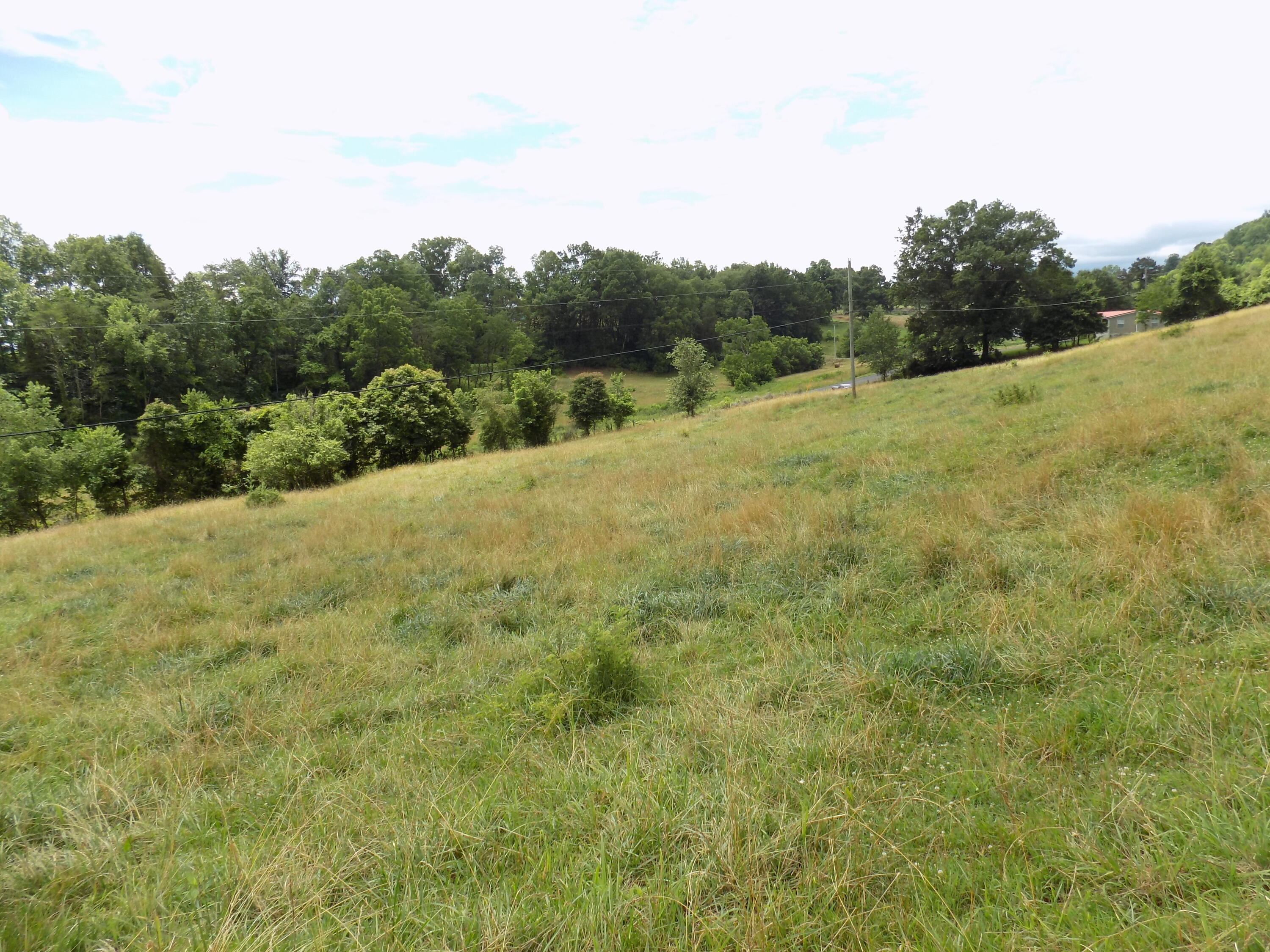 Tbd Cave Springs Road Rogersville, TN 37857 - Photo 5 of 18 DSCN1360