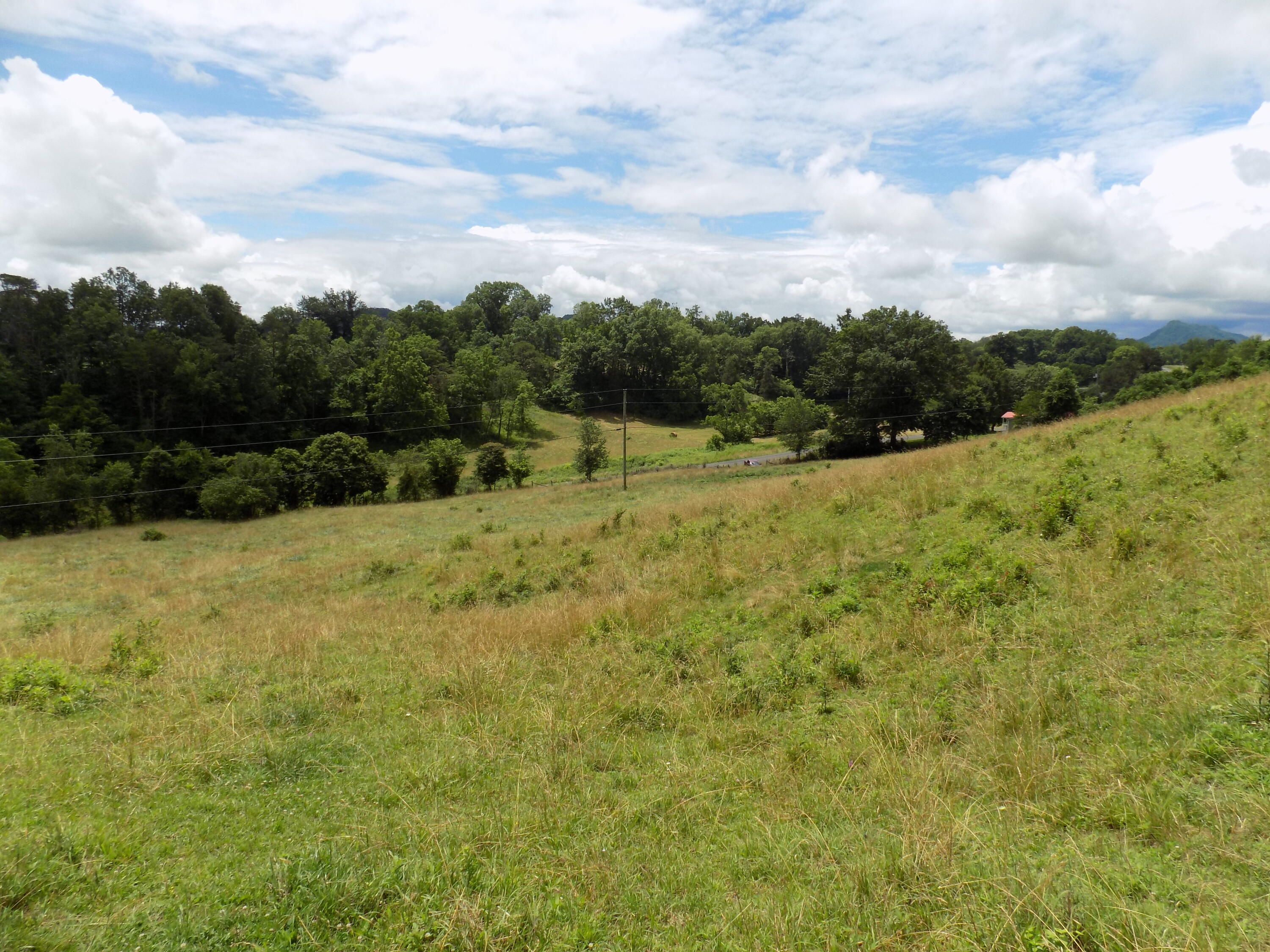 Tbd Cave Springs Road Rogersville, TN 37857 - Photo 6 of 18 DSCN1361
