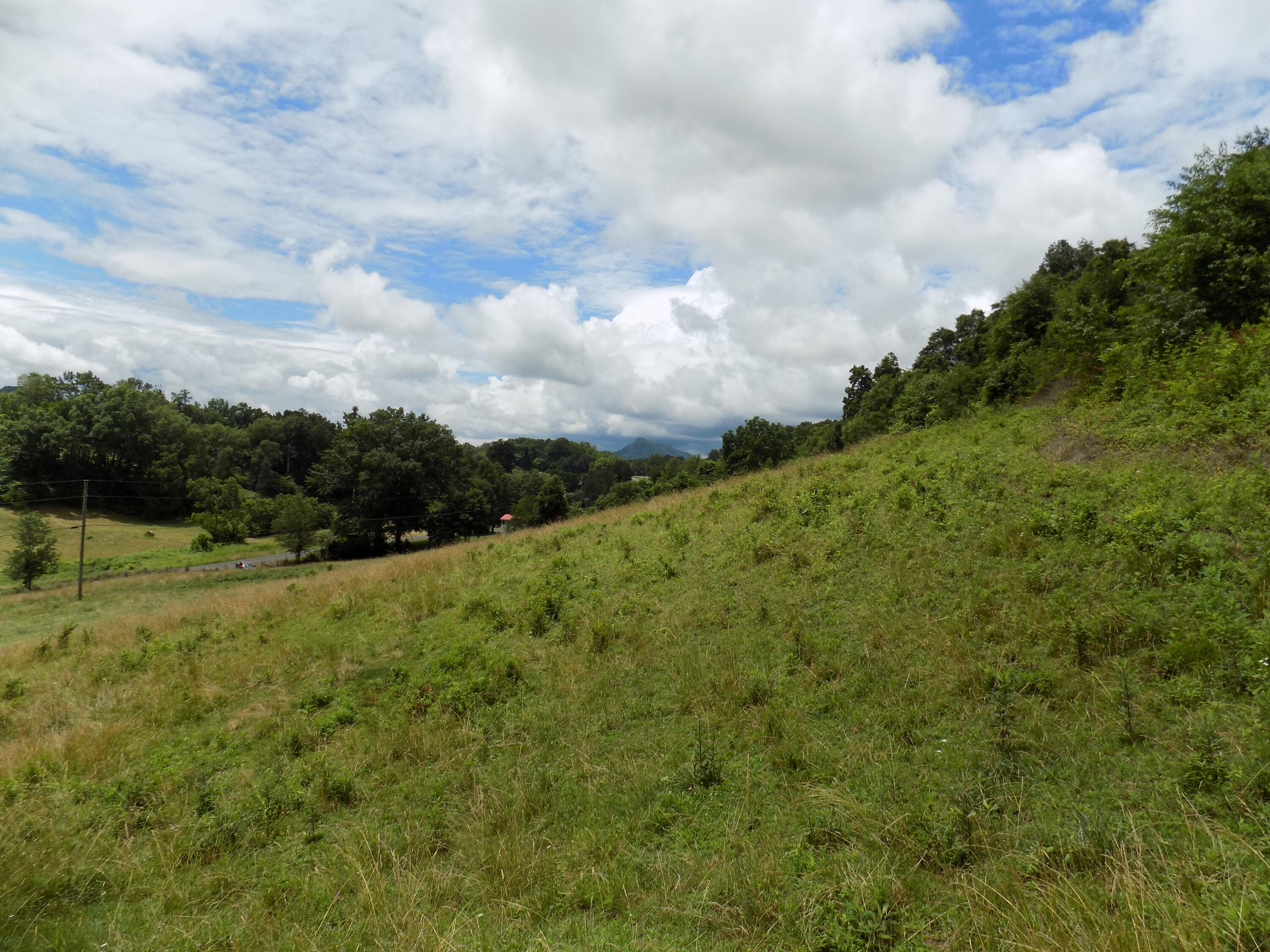 Tbd Cave Springs Road Rogersville, TN 37857 - Photo 7 of 18 DSCN1362