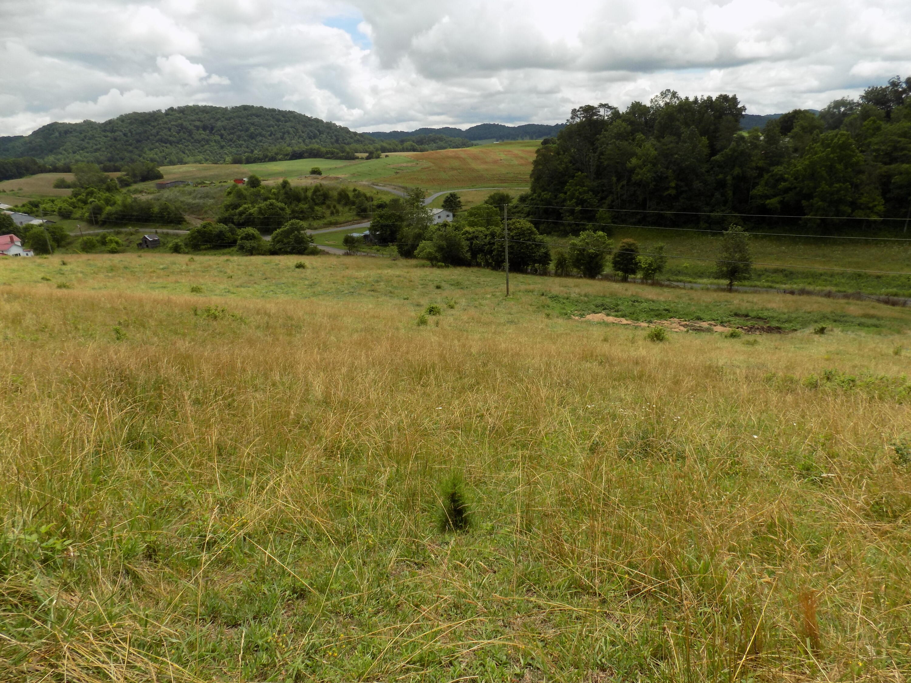 Tbd Cave Springs Road Rogersville, TN 37857 - Photo 8 of 18 DSCN1363