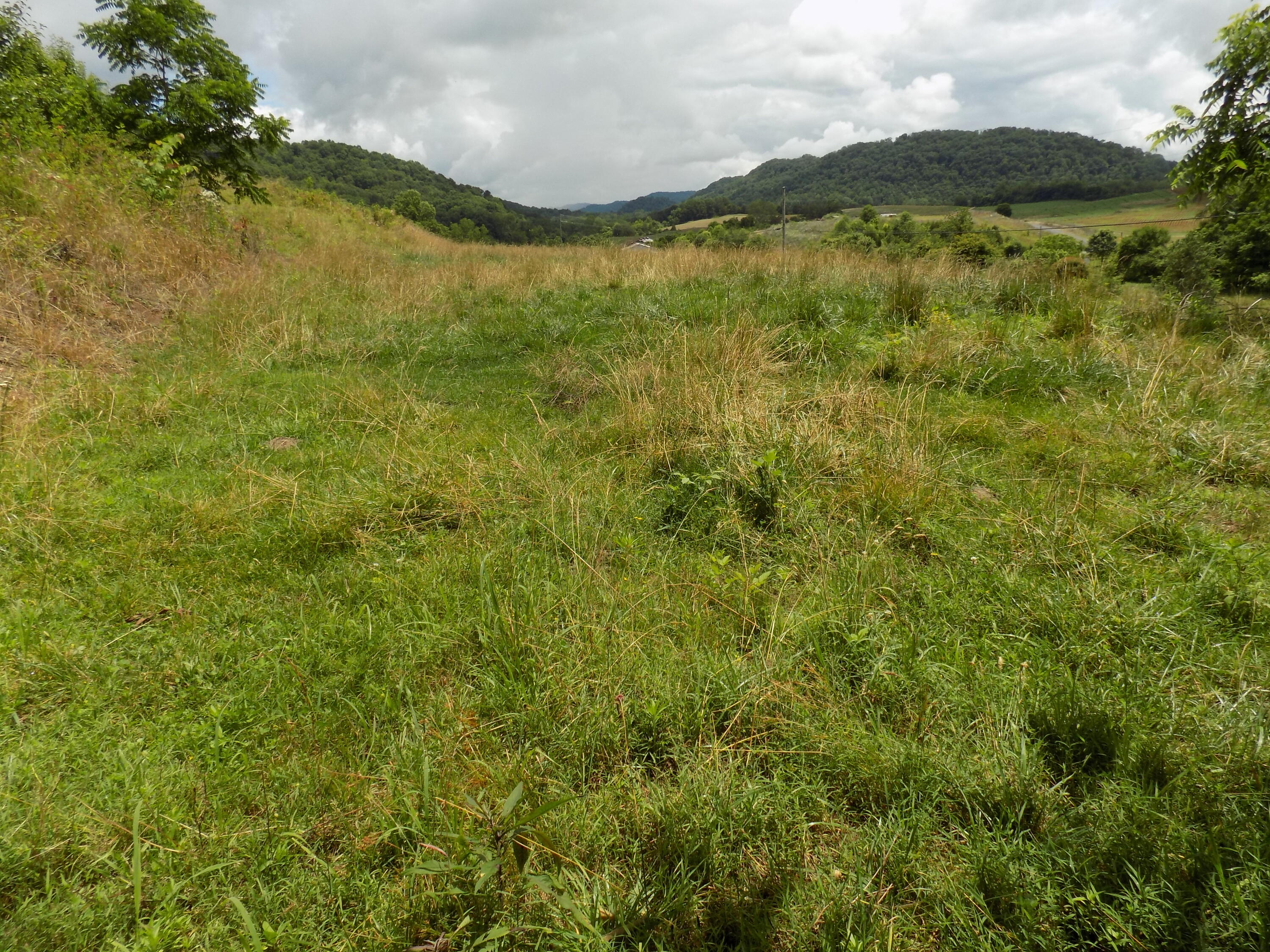 Tbd Cave Springs Road Rogersville, TN 37857 - Photo 9 of 18 DSCN1364