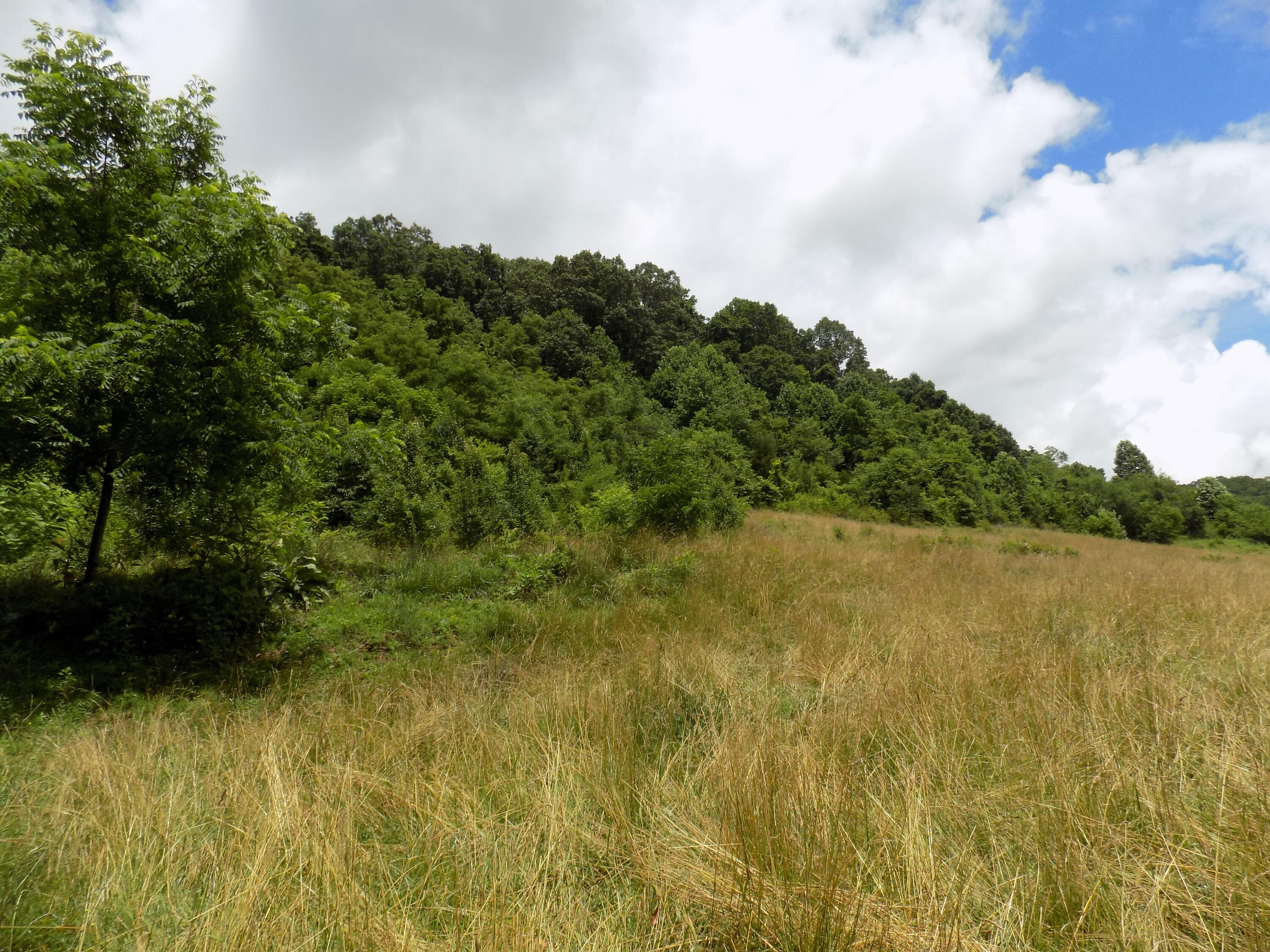 Tbd Cave Springs Road Rogersville, TN 37857 - Photo 10 of 18 DSCN1365