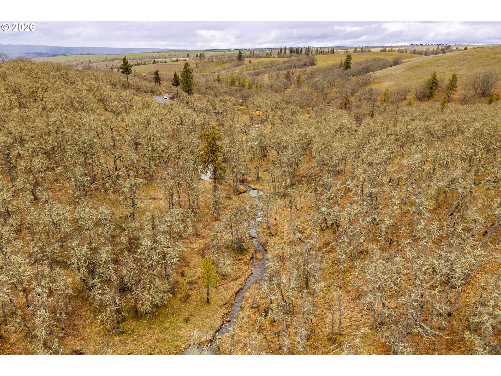 12 Mount Adams View Road Lyle, WA 98635 - Photo 42 of 48
