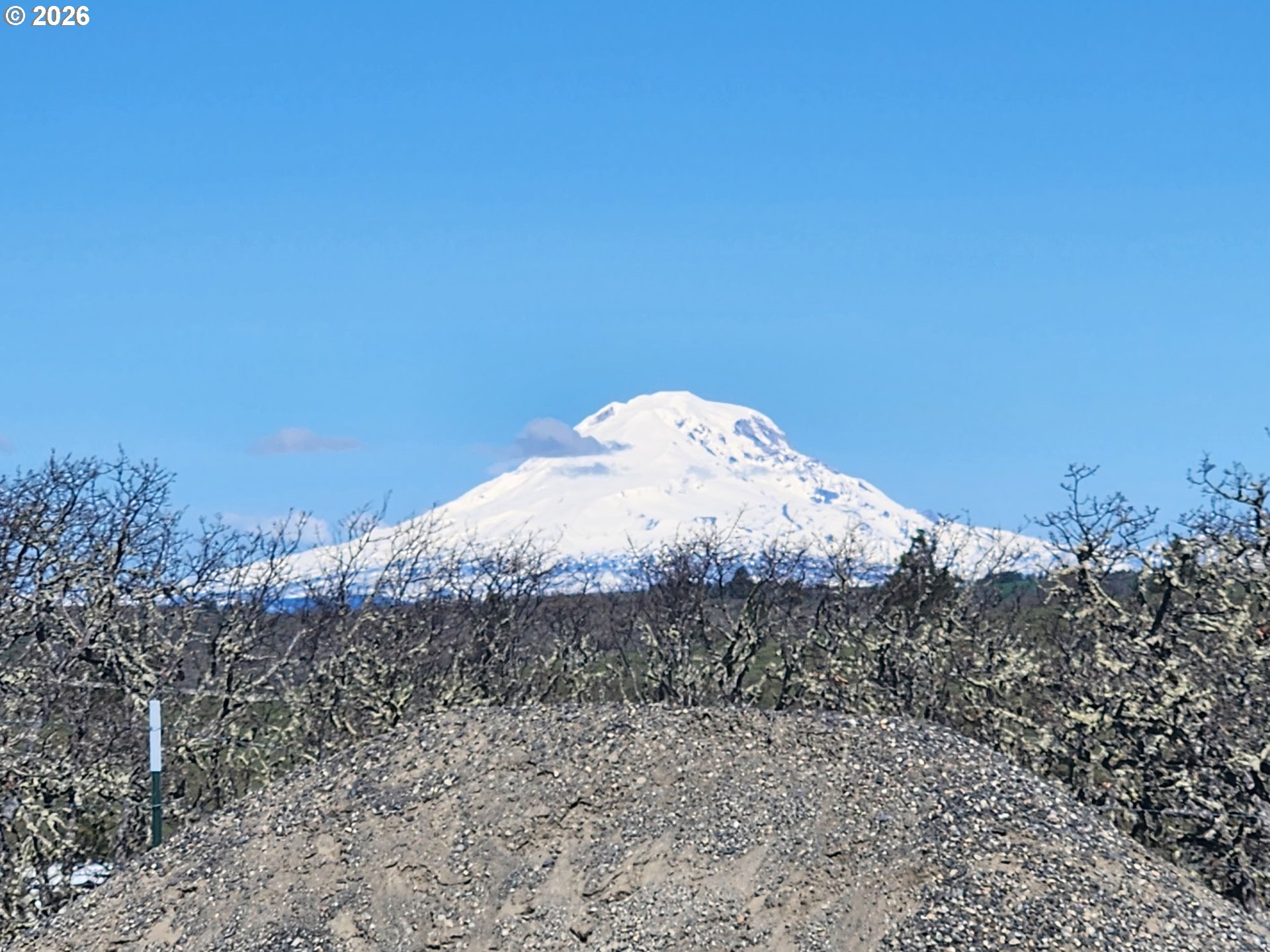 12 Mount Adams View Road Lyle, WA 98635 - Photo 43 of 48