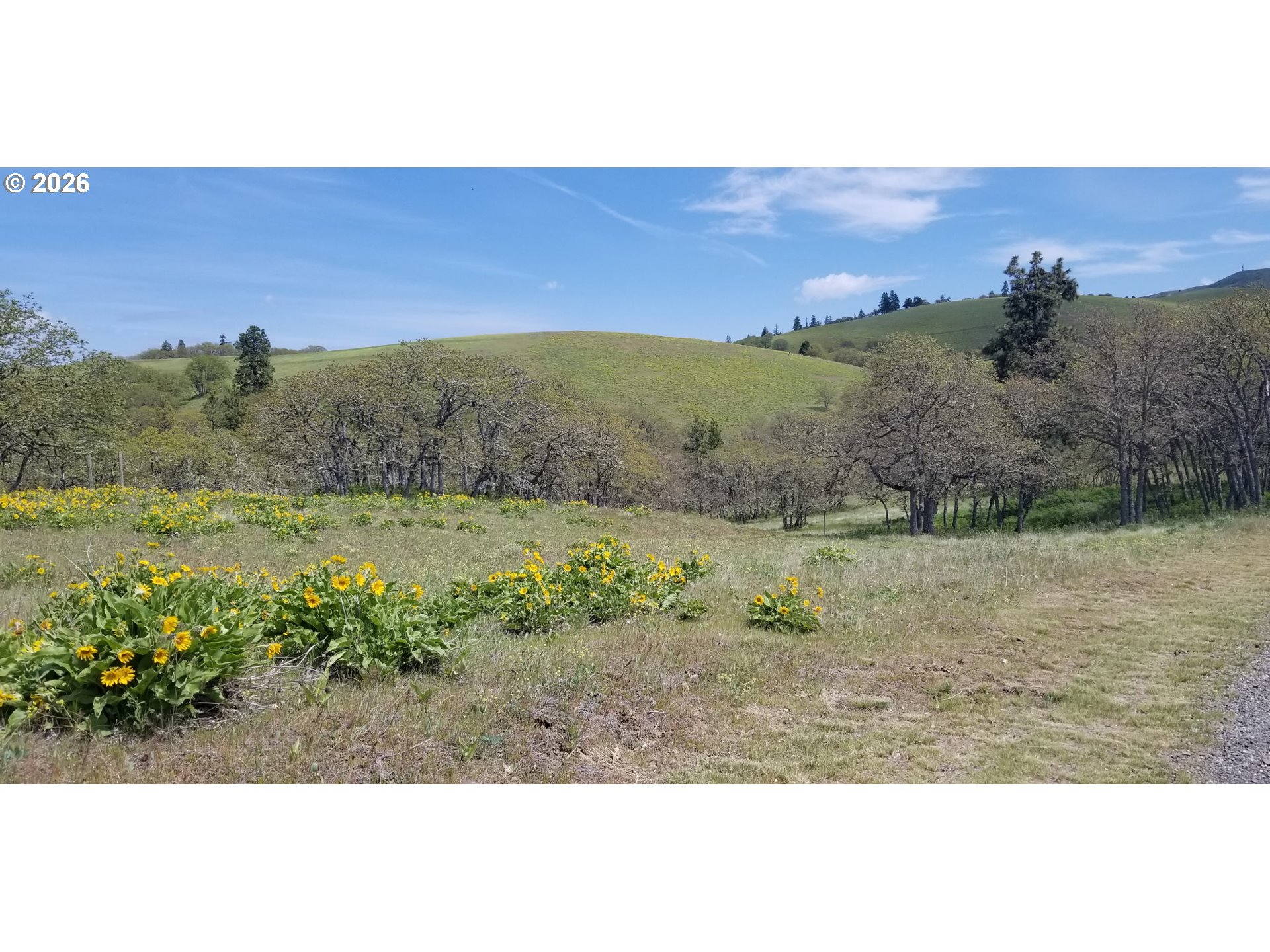 12 Mount Adams View Road Lyle, WA 98635 - Photo 44 of 48
