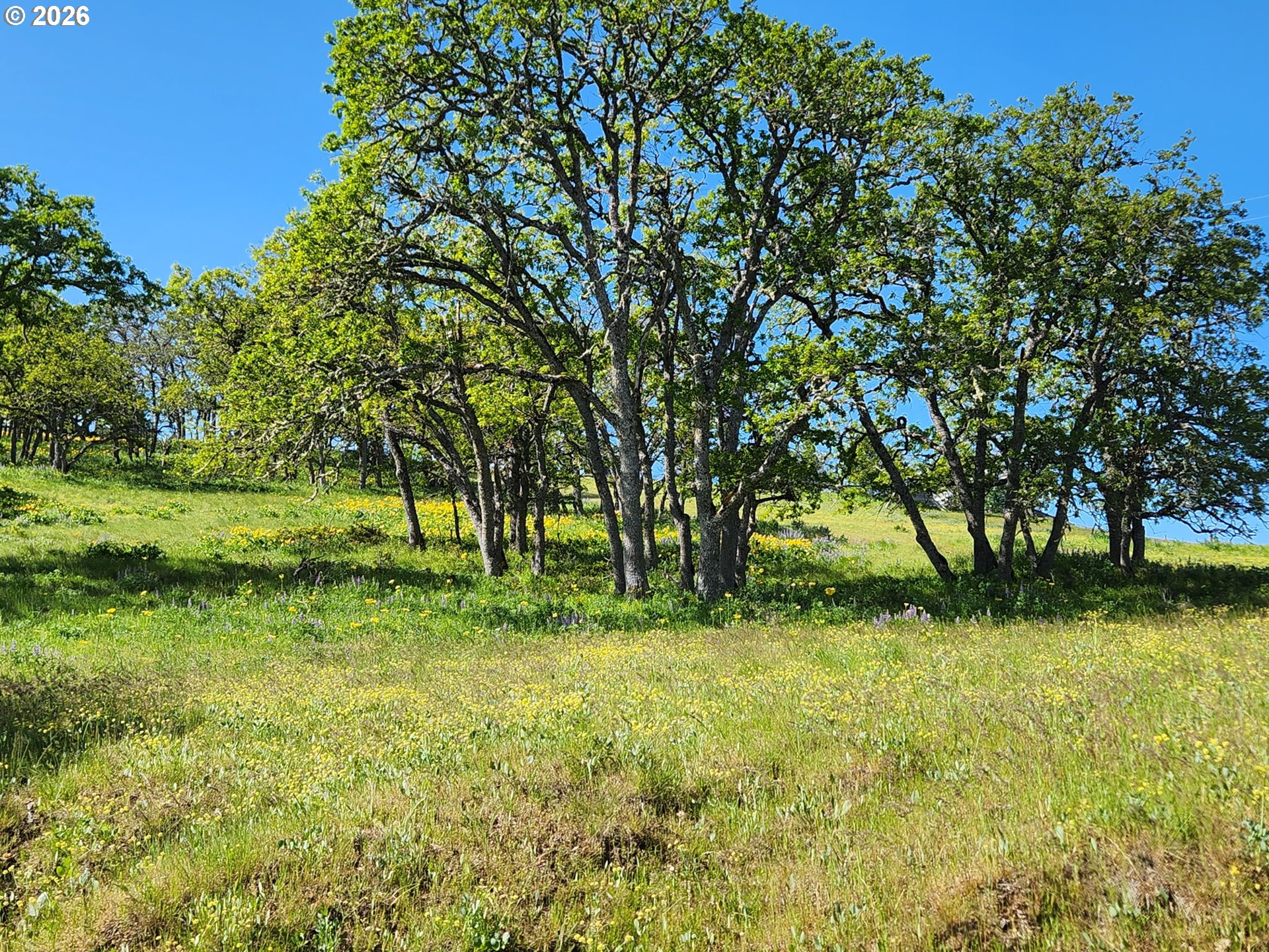 12 Mount Adams View Road Lyle, WA 98635 - Photo 46 of 48