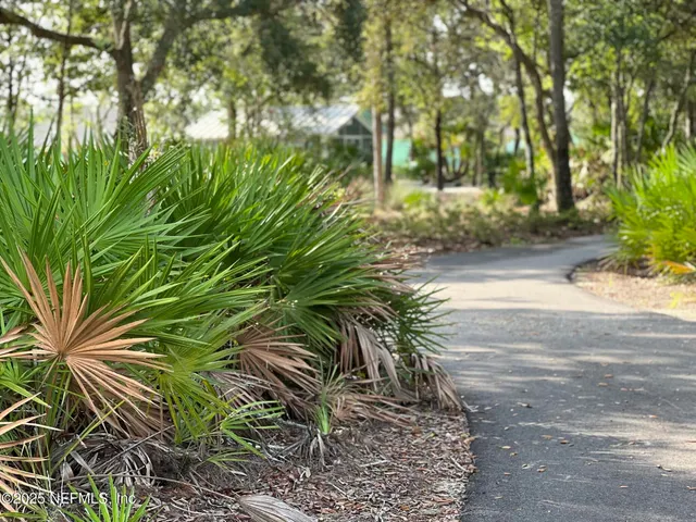 a view of a yard with plants and trees