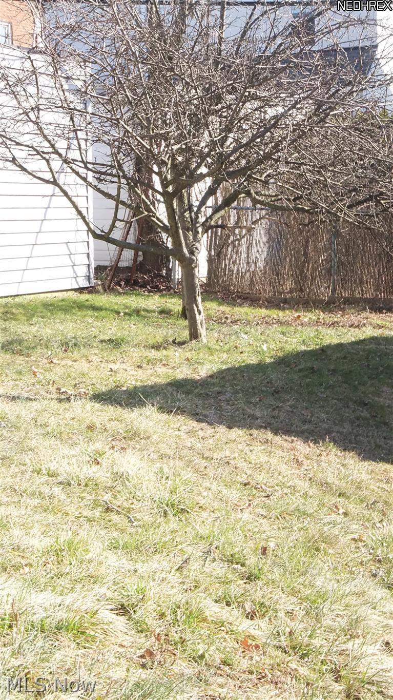 4398 Baintree Road University Heights, OH 44118 - Photo 10 of 10