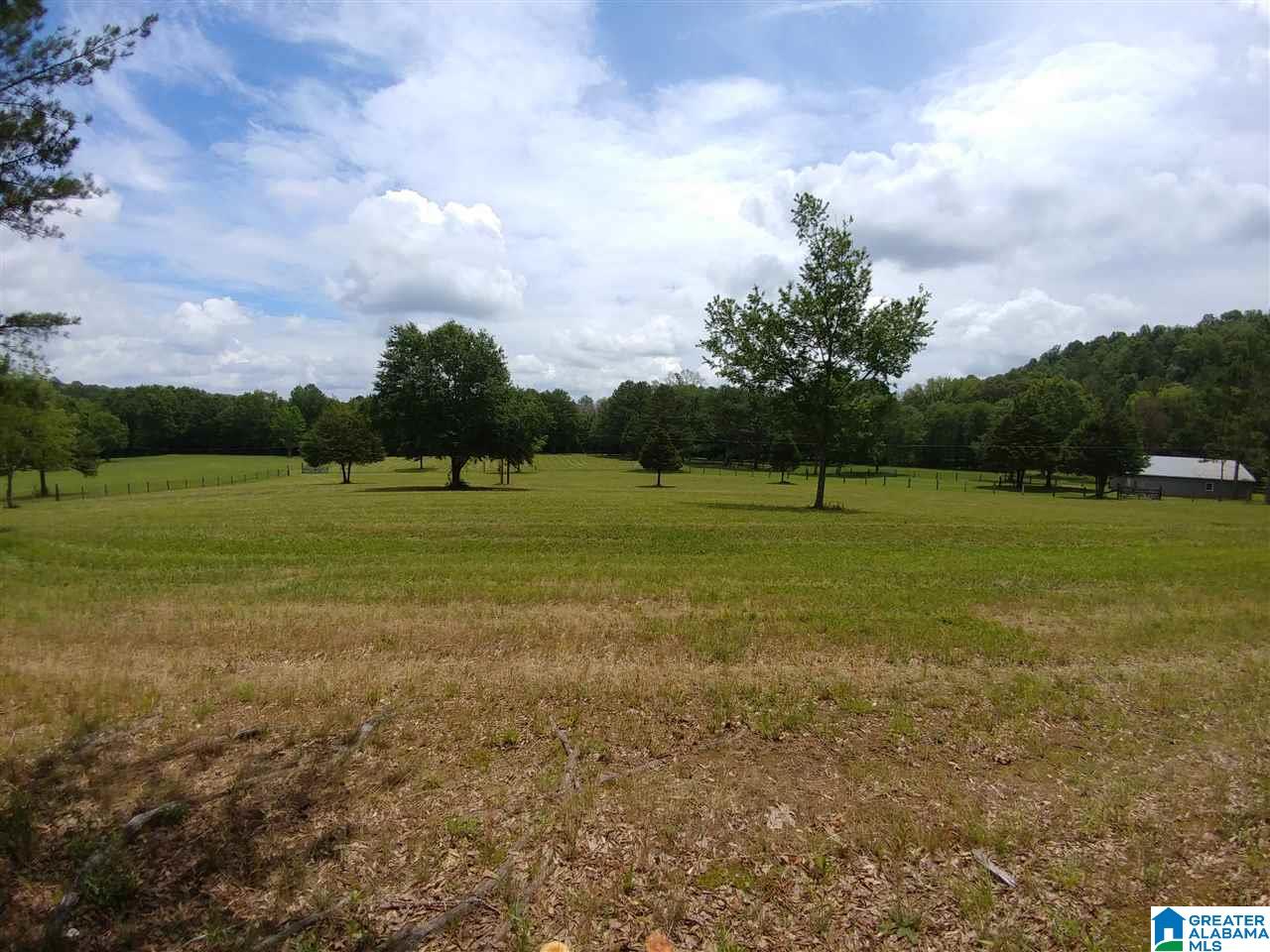 1350 Old Field Road Jacksonville, AL 36265 - Photo 45 of 45
