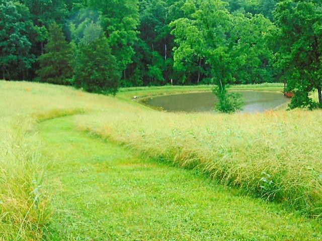 3865 Fortner Ridge Road Corinth, KY 41010 - Photo 7 of 22 Photo 7