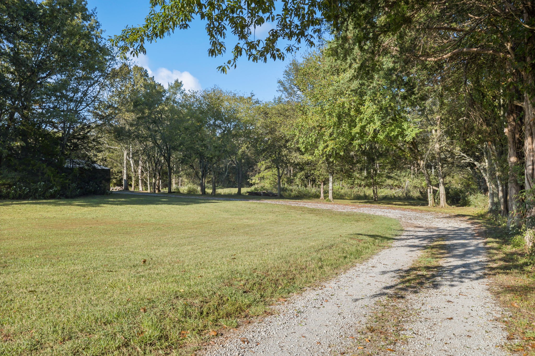 4650 Lunns Store Road Chapel Hill, TN 37034 - Photo 38 of 40 a view of yard with large trees