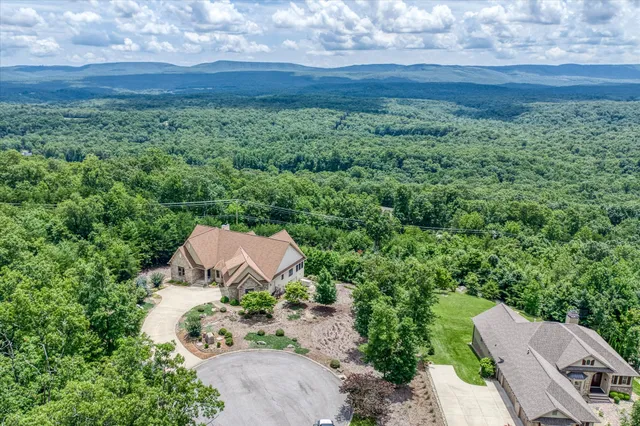 a view of a yard with potted plants