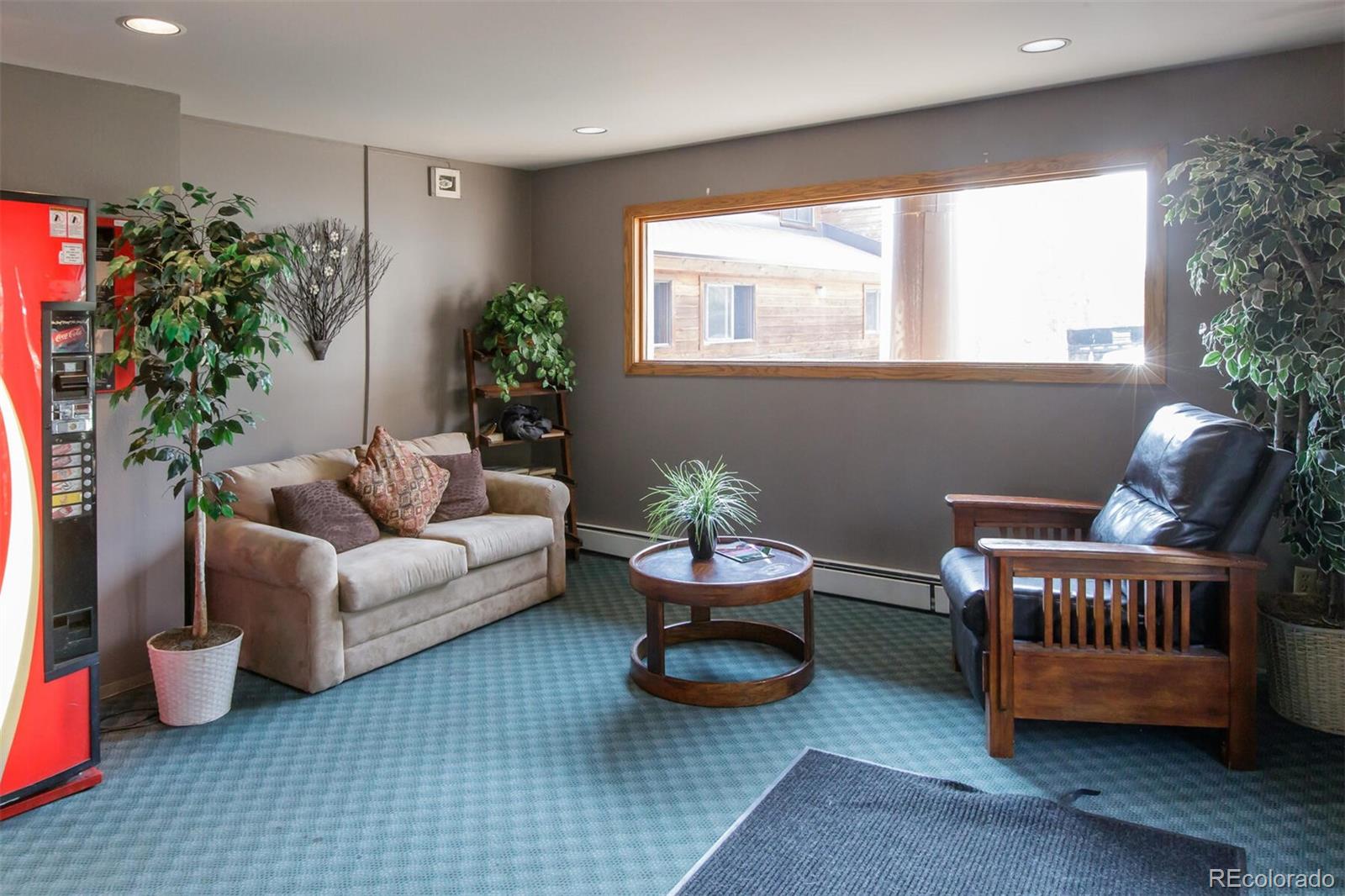 10000 Ryan Gulch Road, Unit 105 Silverthorne, CO 80498 - Photo 35 of 40 a living room with furniture and a potted plant